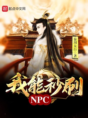 我能秒刷npc 小说