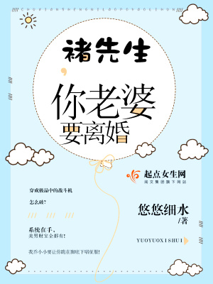 先生你老婆掉了小说