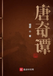 唐奇谭 小说