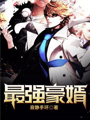 最强豪婿陆枫纪雪雨免费全文阅读无弹窗