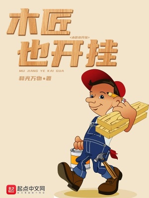 木匠也开挂小说