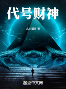 代号财神小说