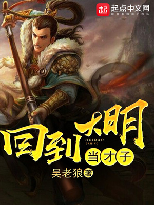 回到大明当才子有声小说