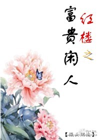 红楼大贵族