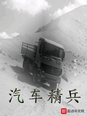 汽车精细