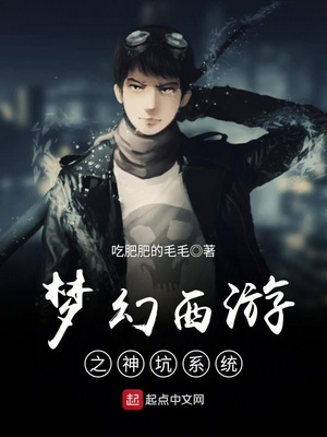 小说梦幻西游之神坑系统无广告