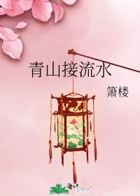 青山接流水结局是什么