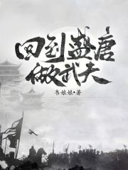回到盛唐做武夫小说