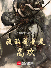 我的哥哥是高欢笔趣阁