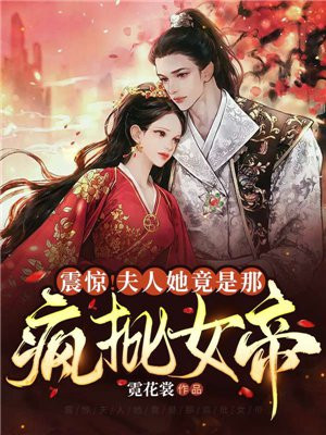 夫人死了,他疯了小说