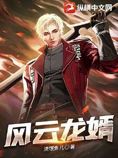 风云龙婿