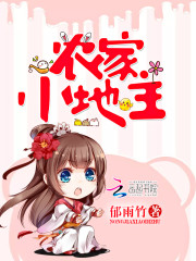 农家小地主小说