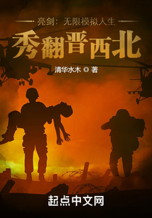 亮剑:无限模拟人生,秀翻晋西北