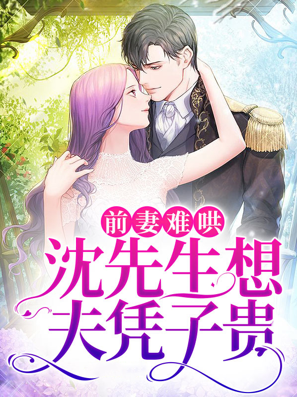 前妻难哄，沈先生想夫凭子贵