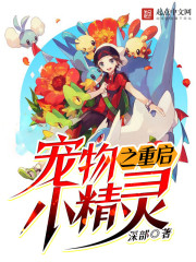 宠物小精灵之重生