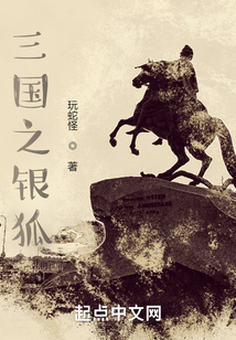 三国之银狐