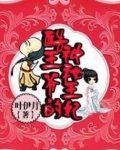 酷王爷的神秘王妃