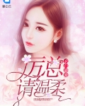 名门盛宠:厉总请温柔