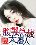 盛爱新婚，腹黑总裁太磨人