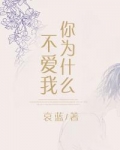 [快穿]你为什么不爱我