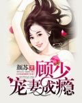 顾少宠妻成瘾