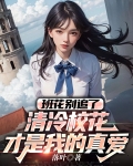 班花别追了,清冷校花才是我的真爱
