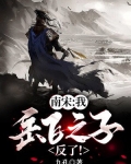 南宋：我,岳飞之子！反了！
