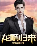 龙婿归来