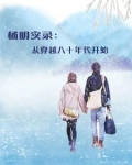 穿越到1983的主角杨