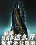 开局创立保护伞公司!