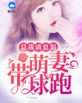 总裁请息怒:萌妻带球跑