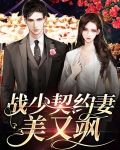 战少契约妻美又飒
