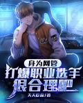 身为网管，打爆职业选手很合理吧