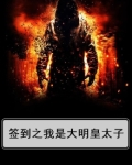 签到之我是大明皇太子