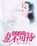 噬骨谋情：妻不可待