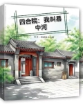 四合院:我叫易中河