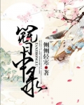 簪中录
