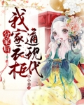 分家后,我家衣柜通现代