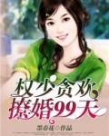 权少贪欢：撩婚99天