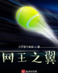 网王之翼